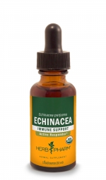 Echinacea ~ Goldenseal Tonic 1 Oz.